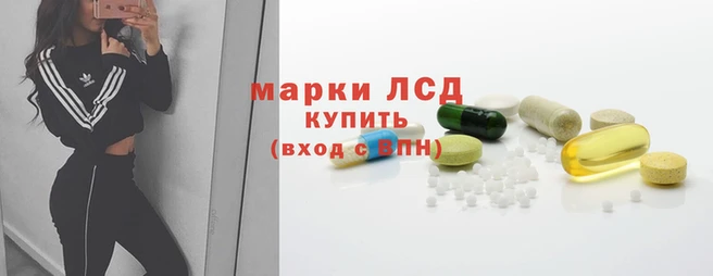 PSILOCYBIN Нефтегорск