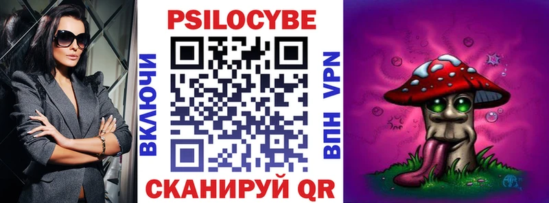 магазин продажи   Монино  Псилоцибиновые грибы Psilocybine cubensis 