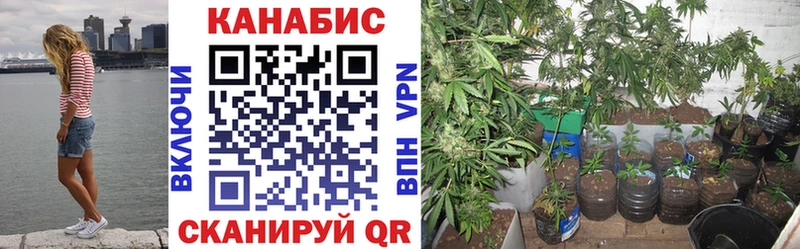 где найти   Монино  Бошки марихуана планчик 